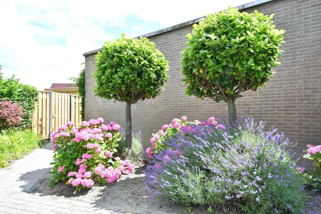 Vrijvakantiehuis Houtenburgseweg 2